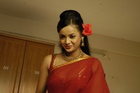 Tanu Roy Hot Saree Photos